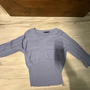 The Limited Purple V-Neck Sweater